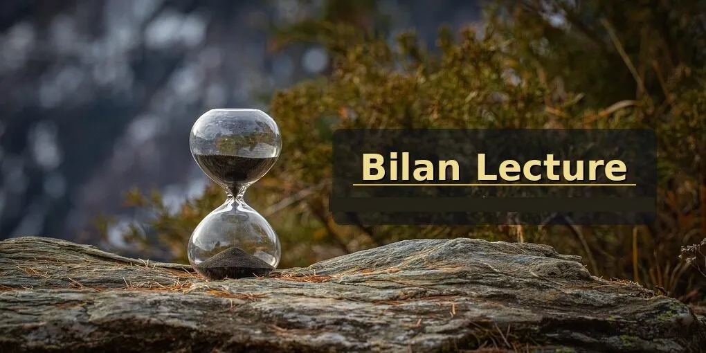 Bilan lecture 2025 : coups de cœur et déceptions