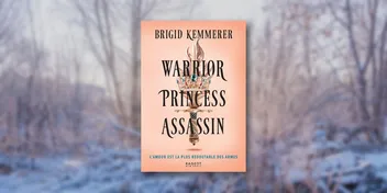 Warrior Princess Assassin de Brigid Kemmerer : un bon livre érotique déguisé en fantasy